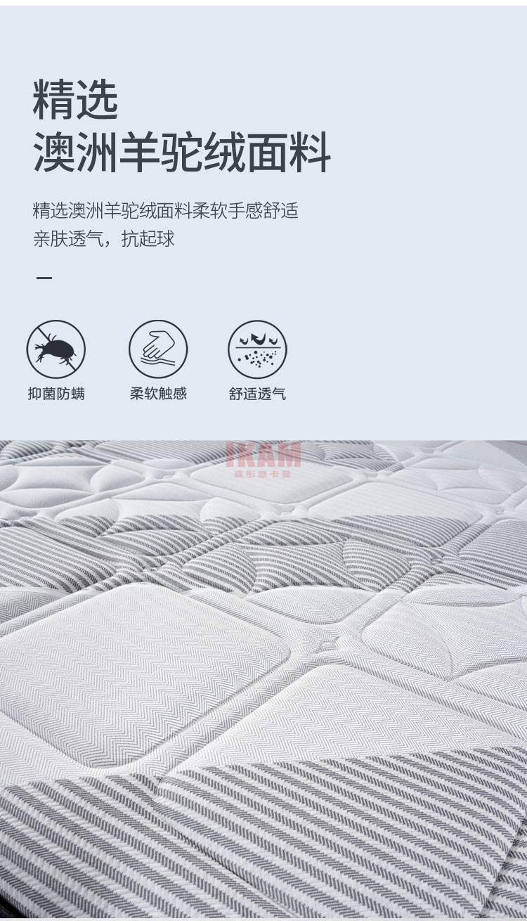 （最佳拍檔）床墊2_04